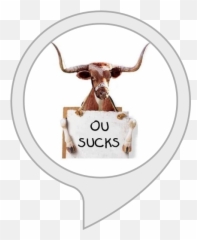 Amazoncom Longhorns Fight Song Alexa Skills - Ou Sucks Bevo Emoji