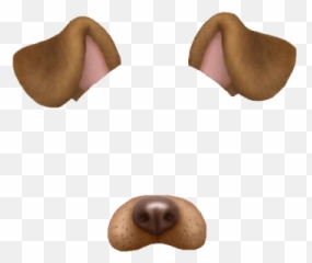 Pink Heart Snapchat Filters Png - Dog Emoji