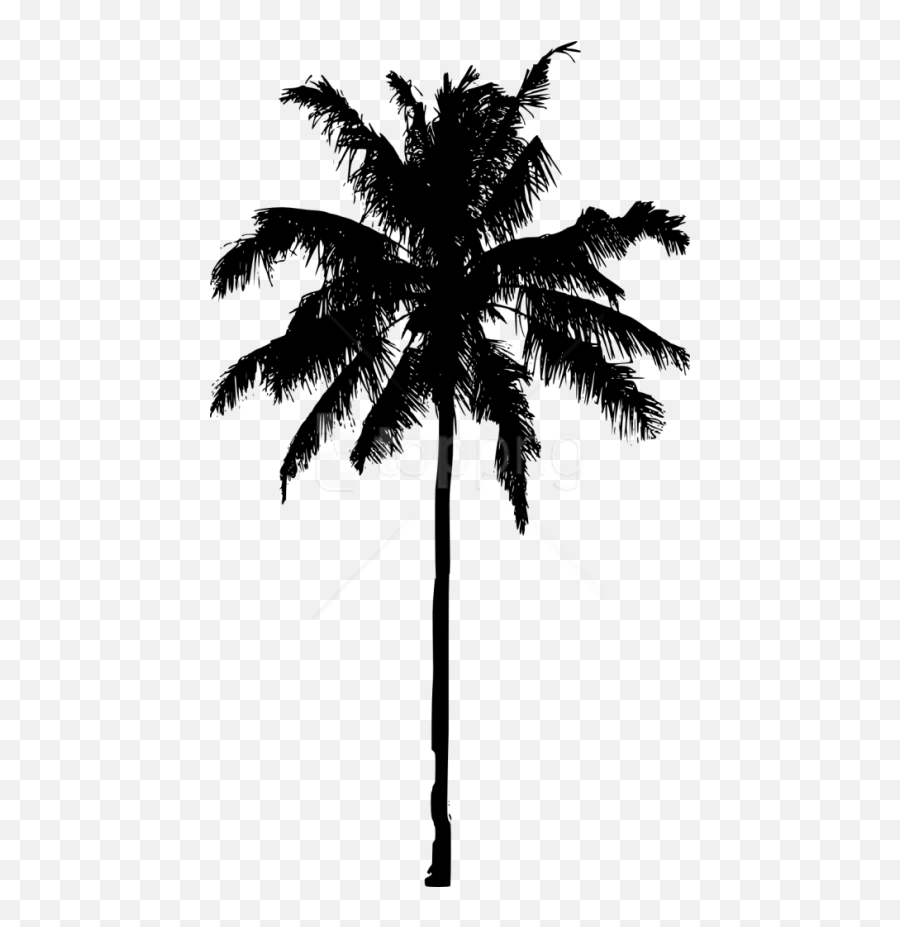 Download Free Png Palm Tree Silhouette Png Images - Palm Tree Silhouette Png Emoji,Palm Tree Emoji
