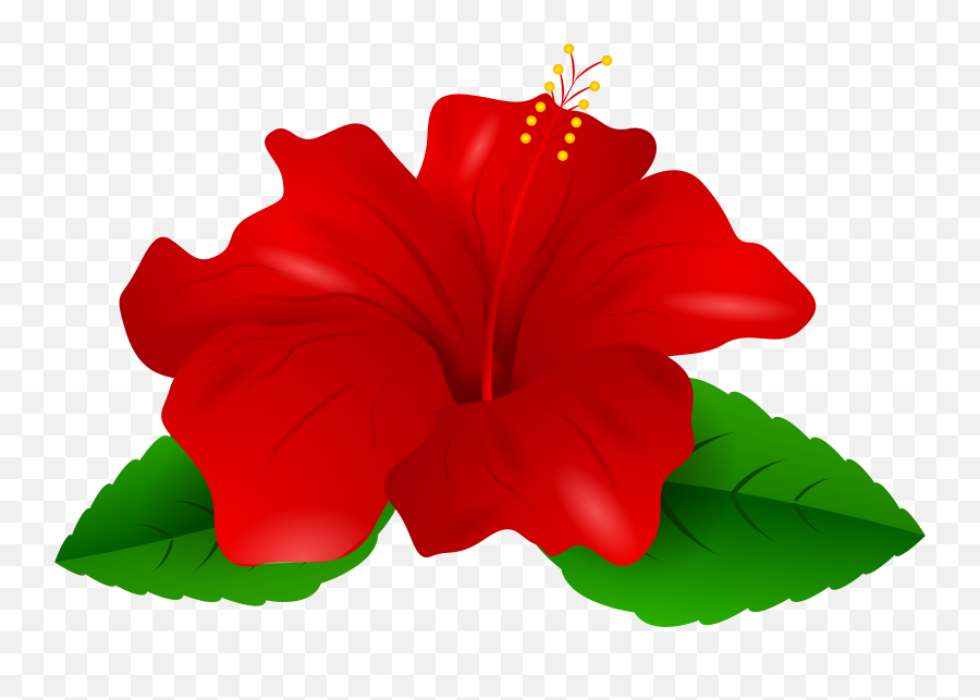 Red Hibiscus Clipart - Red Hibiscus Flower Clipart Emoji,Hibiscus Emoji