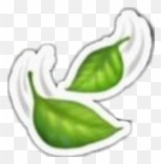 Emoji Emojiiphone Overlay Overlayicon - Leaf Png