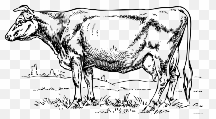 Cow 3 B001 Png Printable Coloring4free - Clip Art Emoji