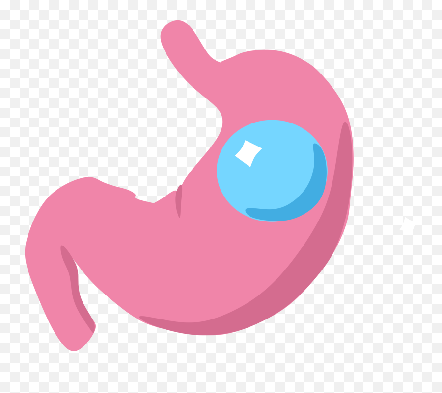 Gastric Balloon - Stomach Transparent Emoji,Blood Type B Emoji