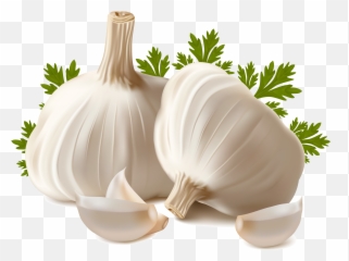 Garlic Clipart Png - Garlic Png Emoji,Garlic Emoji