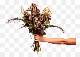 Dead Flower Png Transparent Free For - Flowers Emoji