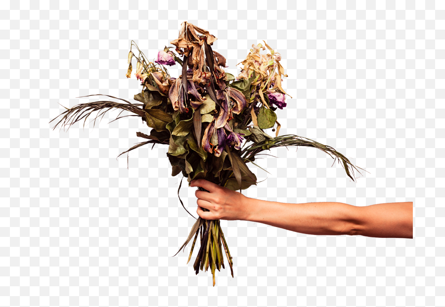 Dead Flower Png Dead Flower Png Transparent Free For - Dead Flowers Png Emoji,Dead Flower Emoji