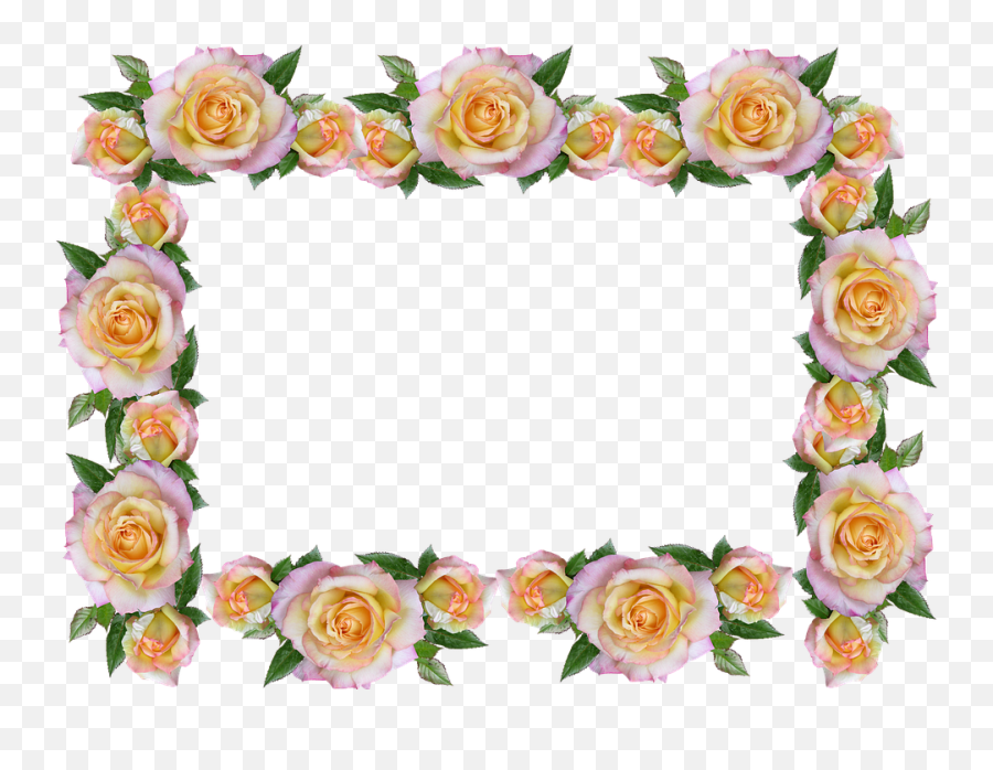 Free Transparent Rose Border Download Free Clip Art Free - Decorative Rose Border Design Emoji,Roses Emoticon