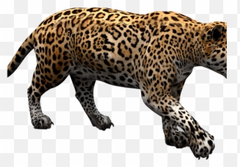 Sunflowers Cliparts Free Download Clip Art - Webcomicmsnet Africat Foundation Emoji,Leopard Emoji