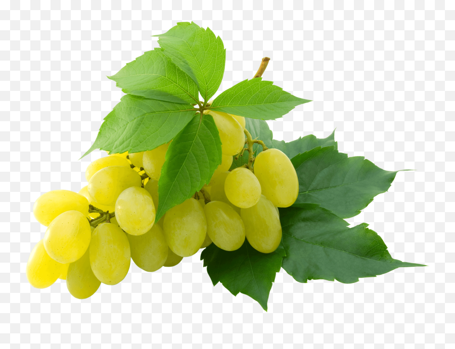 Grape Yummy Transparent Png Clipart - White Grape Png Emoji,Grape Emoji Png