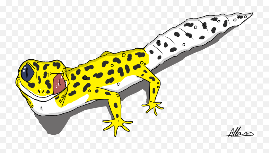 Salamander Free On Cartoon Leopard Gecko Drawings - Clip Art Leopard Gecko Clip Art Emoji,Gecko Emoji