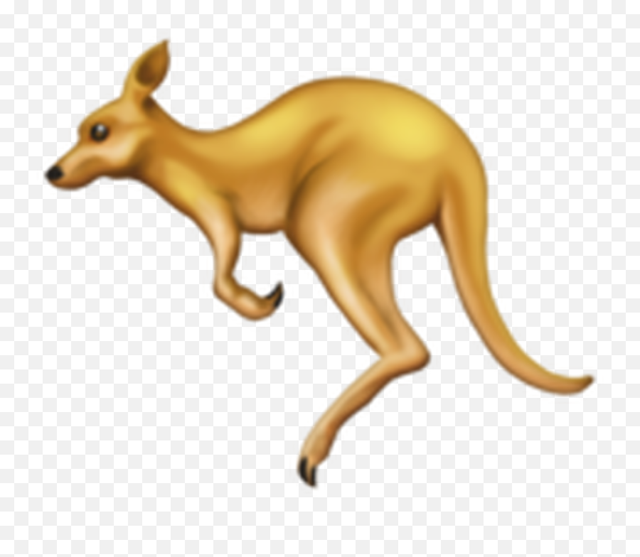 Bagels Kangaroos Redheads Are In - Kangaroo Emoji Png,Emojipedia