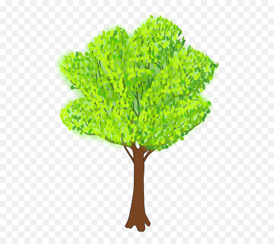 Free Greenery Leaves Vectors - Summer Trees Clipart Emoji,Fall Emoji