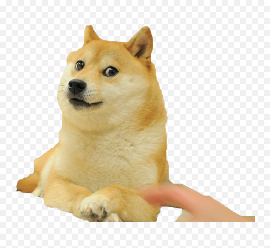 Mlg Doge - Shiba Inu Meme Png Emoji,Doge Emoji - free transparent emoji ...