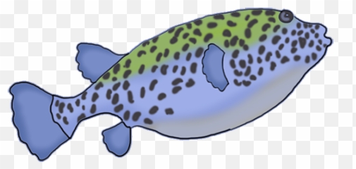 Puffer Fish Clip Art Transparent Png - Spotted Fish Clipart Emoji,Pufferfish Emoji