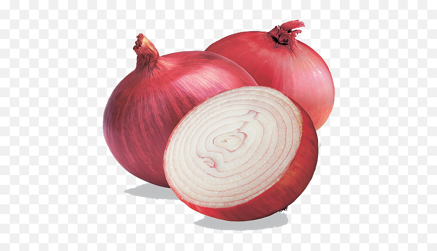 Transparent Onion Clipart Png - Onions Clipart Png Emoji,Onion Emoji