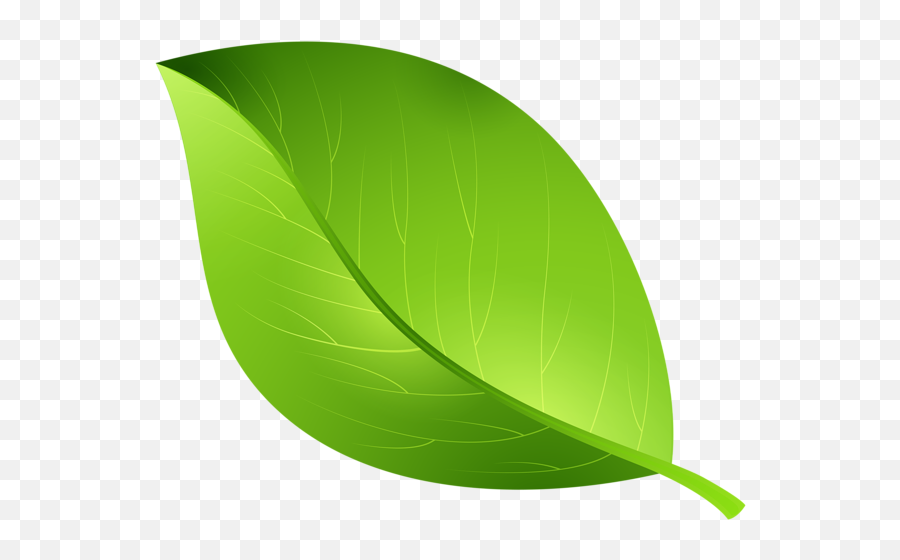 Plant Leaf Clipart Png - Transparent Background Leaf Clipart Emoji,Green Leaf Emoji