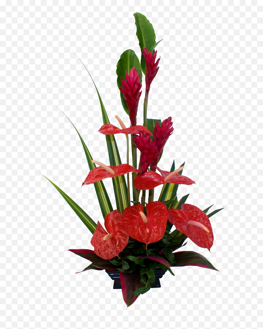 Red Tropical Flower Arrangement - Anthurium Flower Lovely Emoji,Bouquet Of Flowers Emoji
