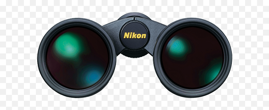 Is One That - Binoculars Front View Transparent Emoji,Nyan Cat Emoji Google Chat