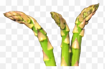 Asparagus Freetoedit - Asparagus Emoji,Asparagus Emoji