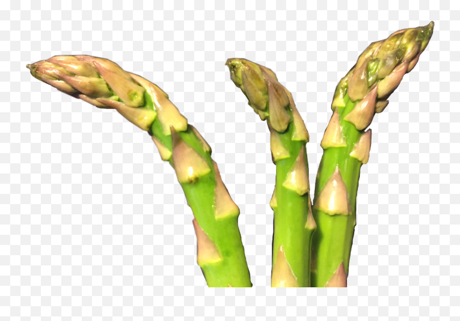 Asparagus Freetoedit - Asparagus Emoji,Asparagus Emoji