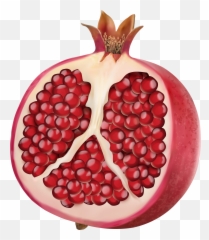 Pomegranate Clipart - Transparent Background Pomegranate Clipart Emoji,Pomegranate Emoji