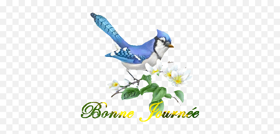 Blue Jays Stickers For Android Ios - Blue Jay Cross Stitch Emoji,Blue Jays Emoji