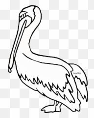 Louisiana Pelican Clipart - State Bird Emoji