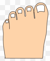 Toe Drawing Nail Transparent U0026 Png Clipart Free Download - Ywd Cartoon Big Toe Emoji,Emoji Toes