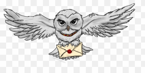 Fteowl Owl Hogwarts Harrypotter Sticker - Transparent Owl With Letter Emoji,Emoji Owl