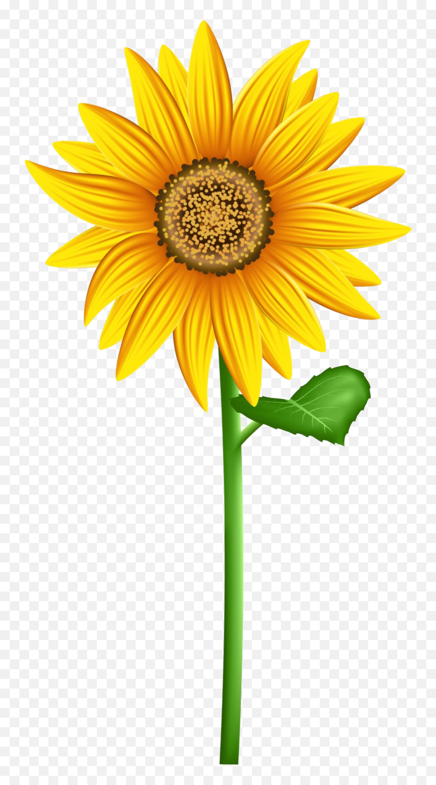 Sunflower Crown Transparent Clipart Big - Clipart Transparent Background Sunflower Emoji,Sunflower Emoji Transparent