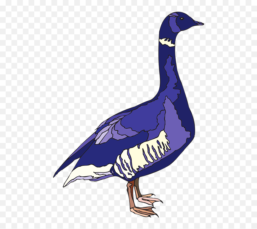 Free Blue Feathers Blue Vectors - Purple Goose Emoji,Duck Emoticon Text