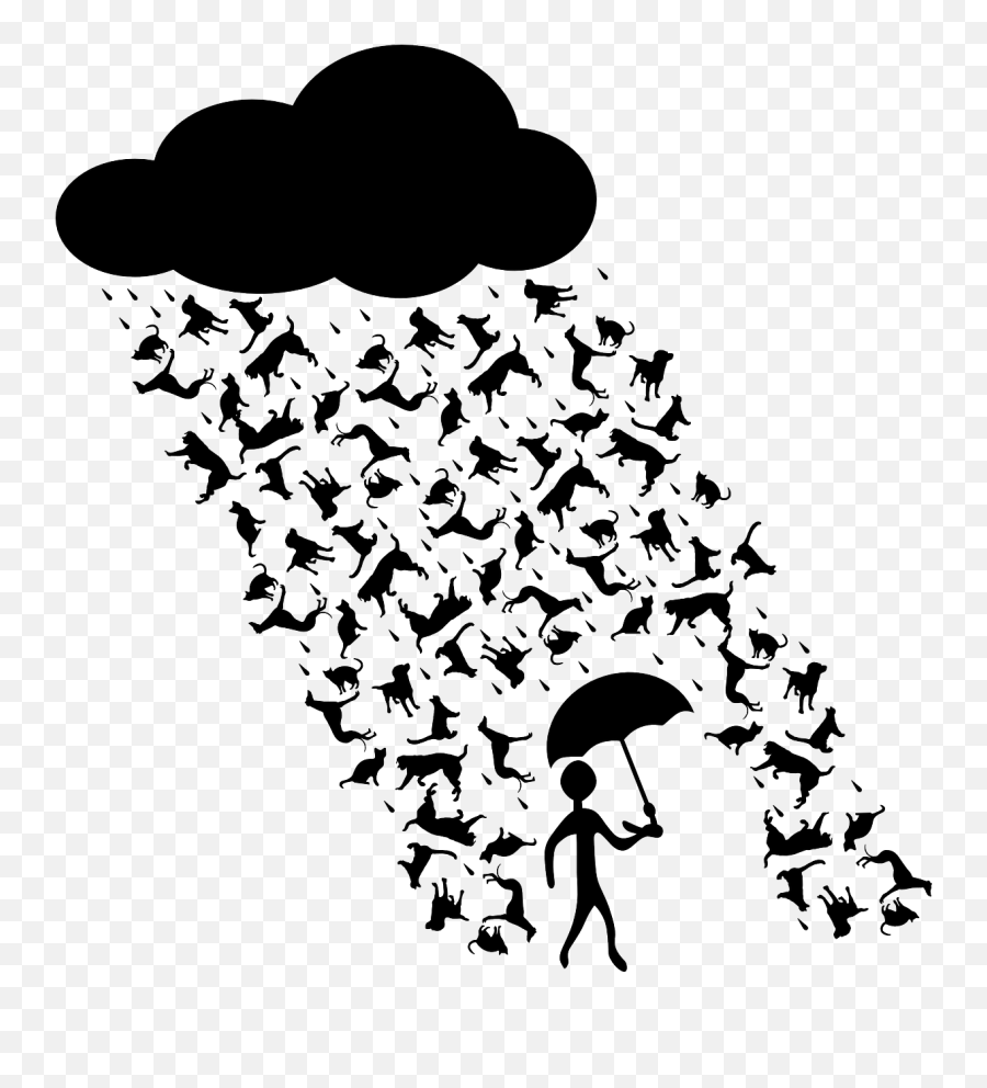 Rainstorm Rain Cats And Dogs Rain Heavy - Raining Cats And Dogs Clipart Emoji,Emoji Lightning Bolt And Umbrella