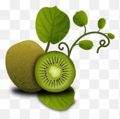 Fruits Kiwi Tropical Plants Vegetables - Image Animation Emoji