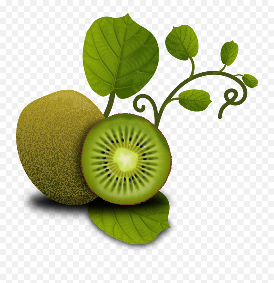 Fruits Kiwi Tropical Plants Vegetables - Fruit Kiwi Image Animation Emoji,Mango Fruit Emoji