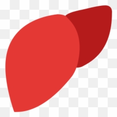 Liver Icon - Free Download PNG and Vector Transparent Background Clipart Emoji