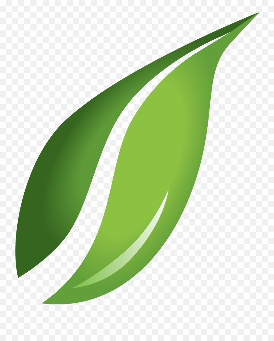 Download Free Png Green Leaves Png - Leaf Vector Transparent Background Emoji,Green Leaf Emoji