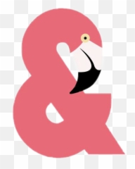 Ampersand Sccoralcolor Flamingo - Ampersand Emoji,Ampersand Emoji