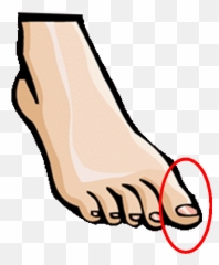 Heels Clipart Body Part Heels Body Part Transparent Free - Part Of Body Toes Emoji,Emoji Toes