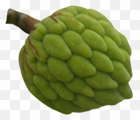 Apple Fruit Slice Green Transparent Picture - 20032 Transparent Custard Apple Png Emoji,Custard Emoji