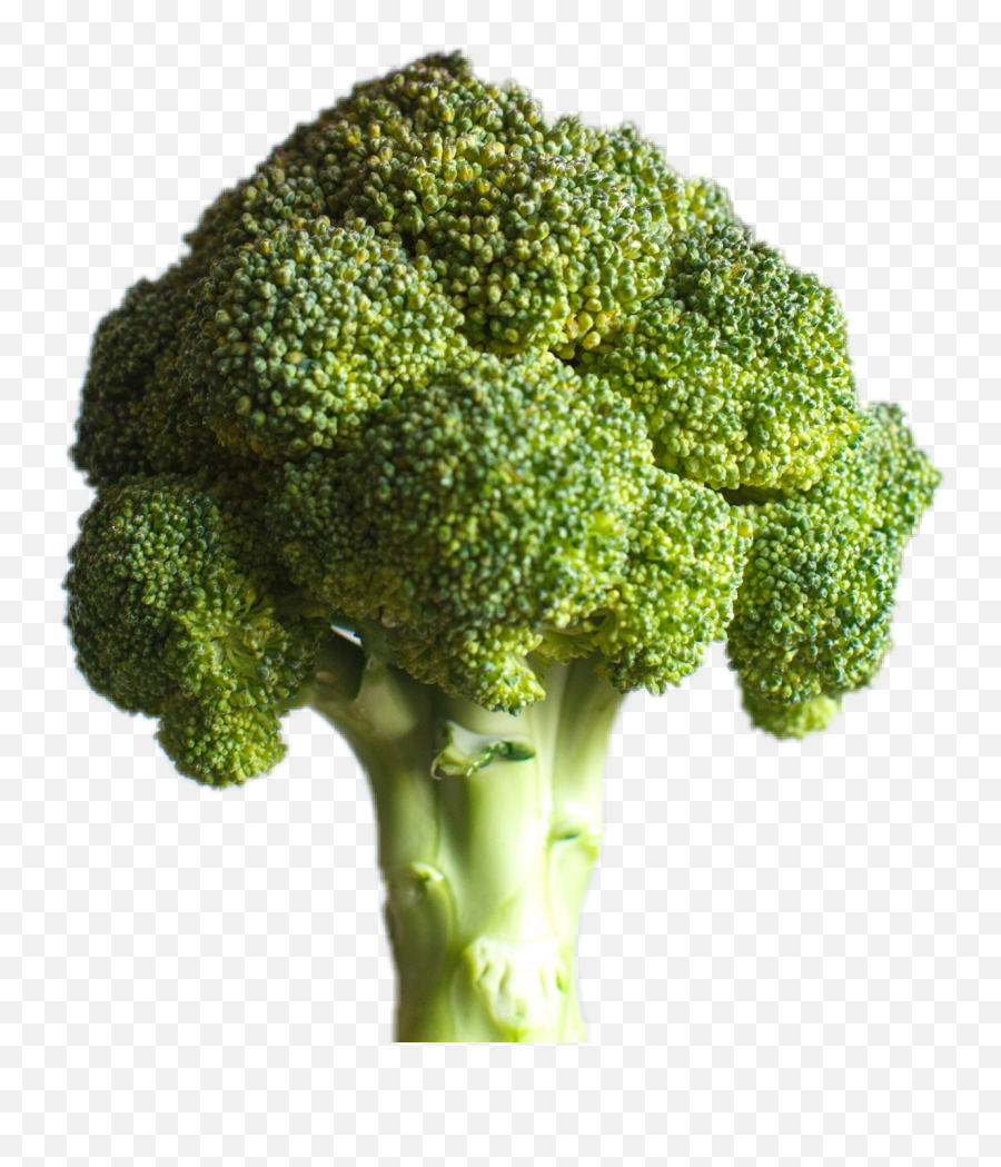 To - Deku Brocoli Png Emoji,Broccoli Emoji Iphone