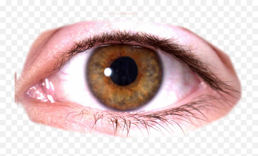 Red Eyes Triggered Transparent - Human Eye Transparent Background Emoji,Emoji Dry Eyes