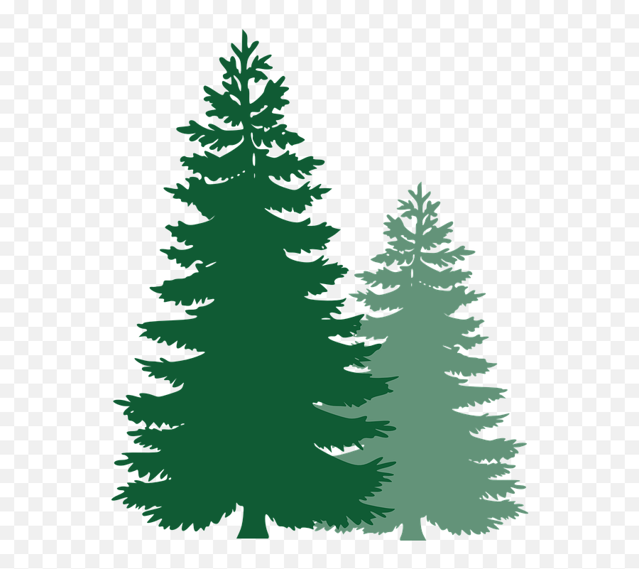 Clipart Trees Evergreen Clipart Trees - Vector Pine Tree Png Emoji,Evergreen Tree Emoji