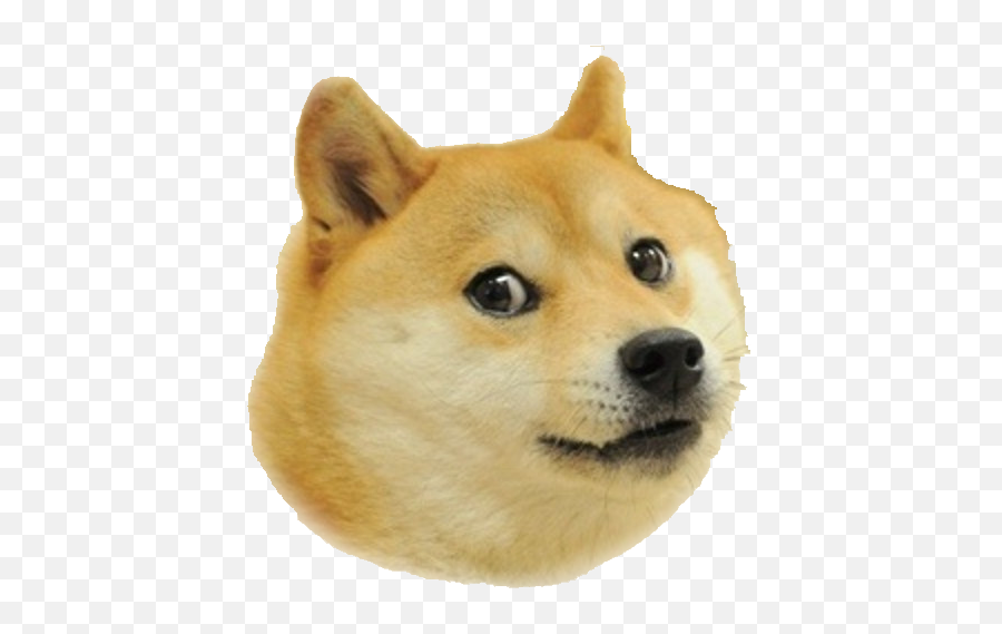 Wow Doge Png 5 Png Image - Heavy Breathing Meme Doge Emoji,Doge Emoji