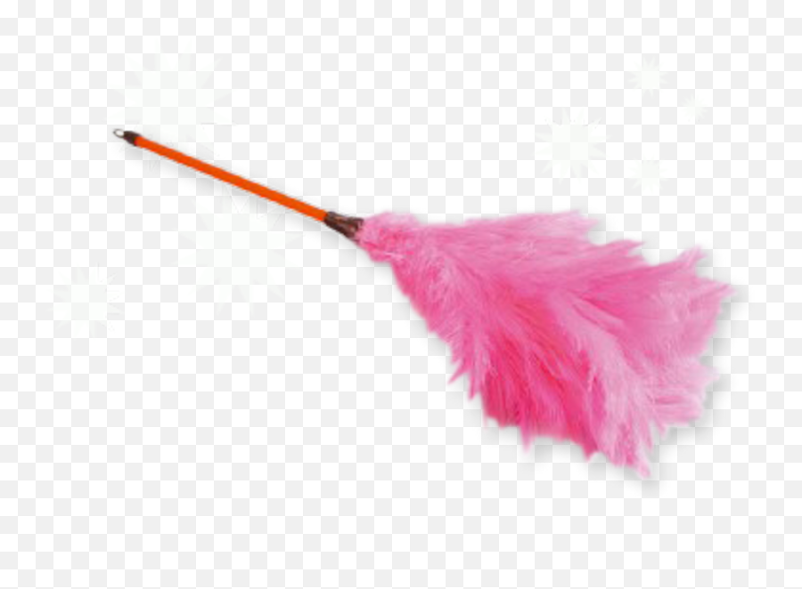 Feather Duster - Pink Feather Duster Png Emoji,Emoji Feather