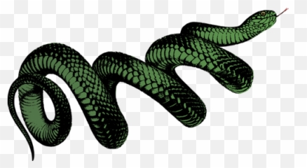 Cobra Enrolada De Verde - Png Transparent Snake Emoji