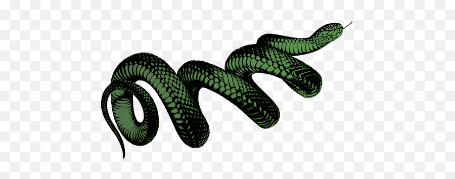 Cobra Enrolada De Verde - Png Transparent Snake Png Emoji,Snake Emoji Shirt