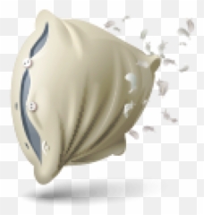 Ng2 - Pillow Icon Emoji,Conch Shell Emoji