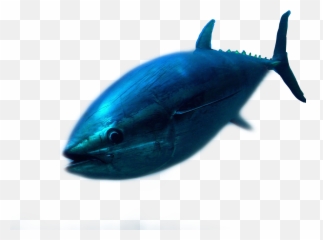 Fish Tuna Freetoedit - Billfish Emoji,Tuna Emoji