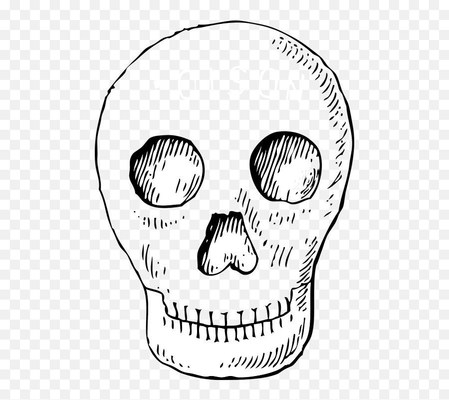 Free Pirate Head Pirate Images - Outline Of Day Of Dead Skull Emoji,Pirate Emoticon