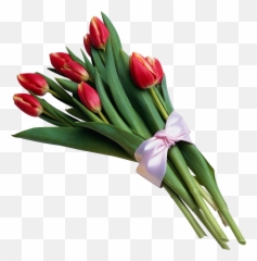 Tulip Pictures - Bouquet Of Flowers Transparent Background Emoji,Flower Bouquet Emoji